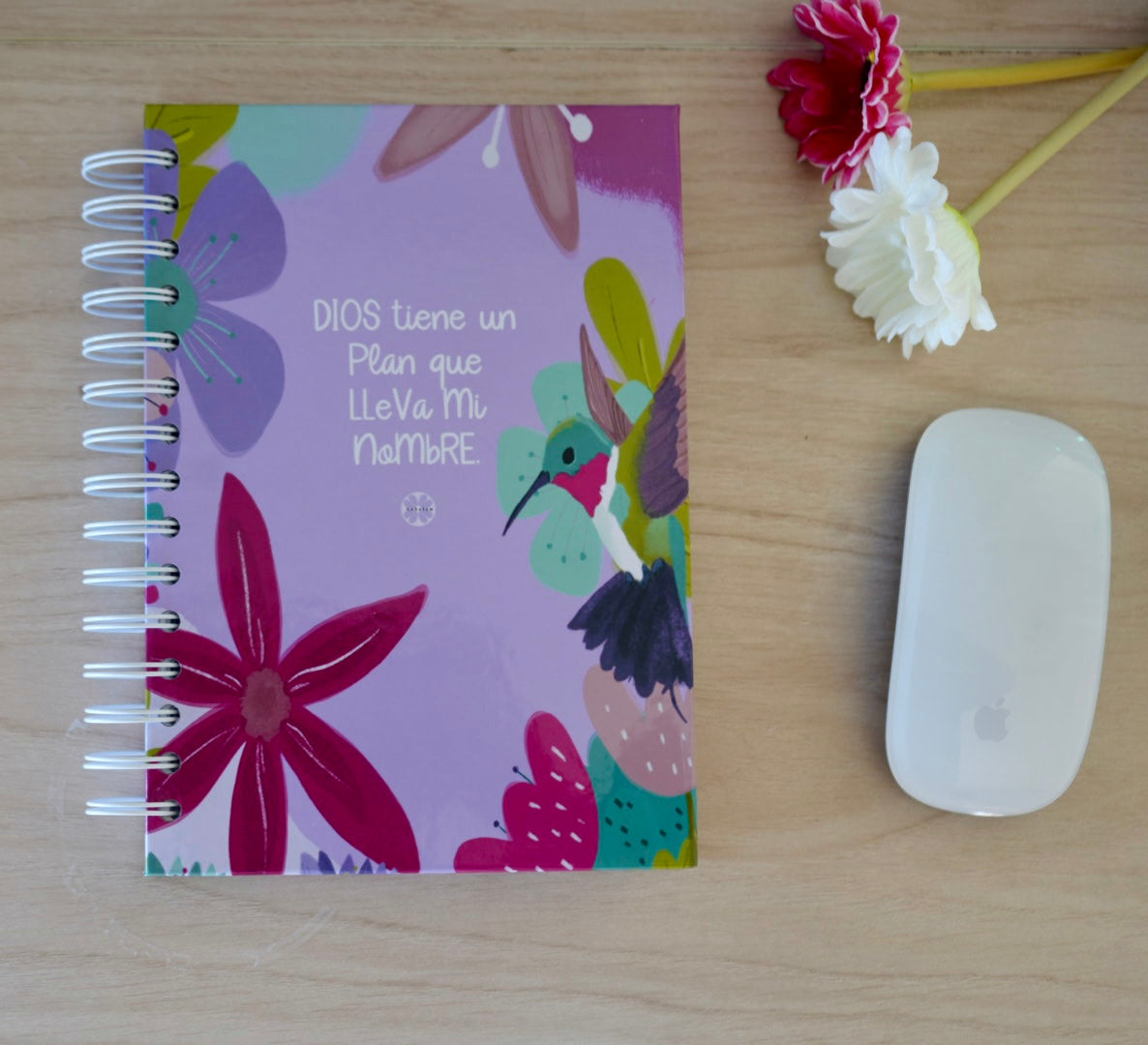 His perfect Plan -  Spanish Notebook